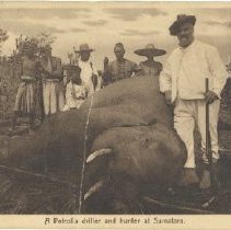 Fd 002 005 010 Pstcrd Wm Mcrae